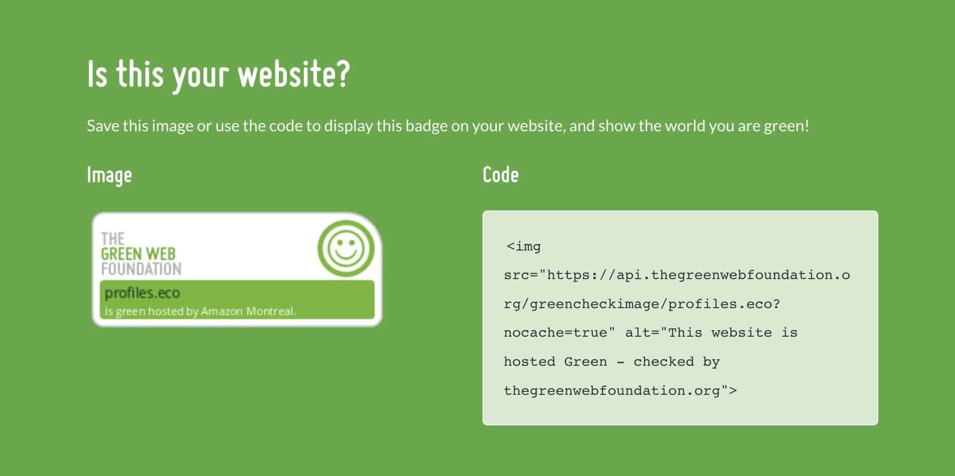 Green Web Check badge