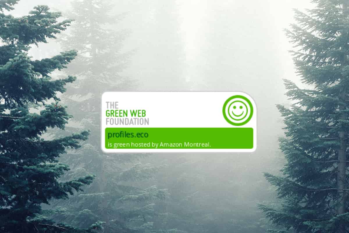 Green Web Check logo with trees in the background